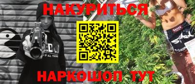 spice Моздок