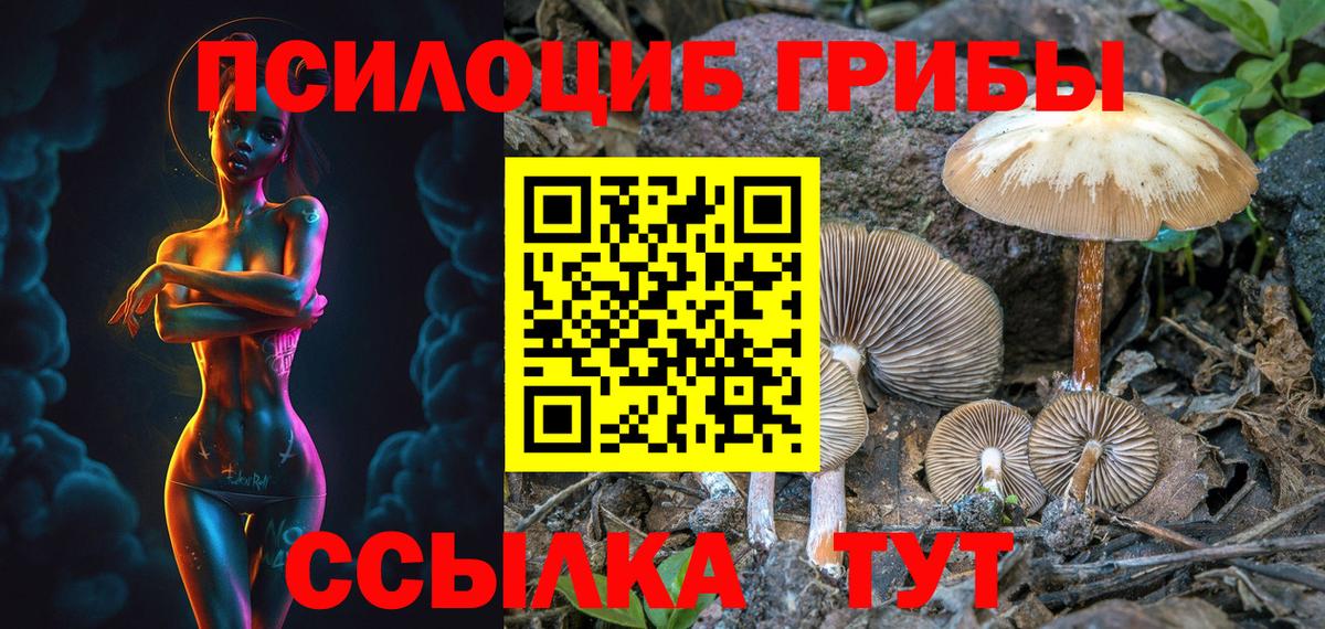 Семёнов  Псилоцибиновые грибы мухоморы  Вход с VPN 