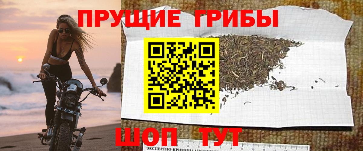 Галлюциногенные грибы Cubensis Семёнов